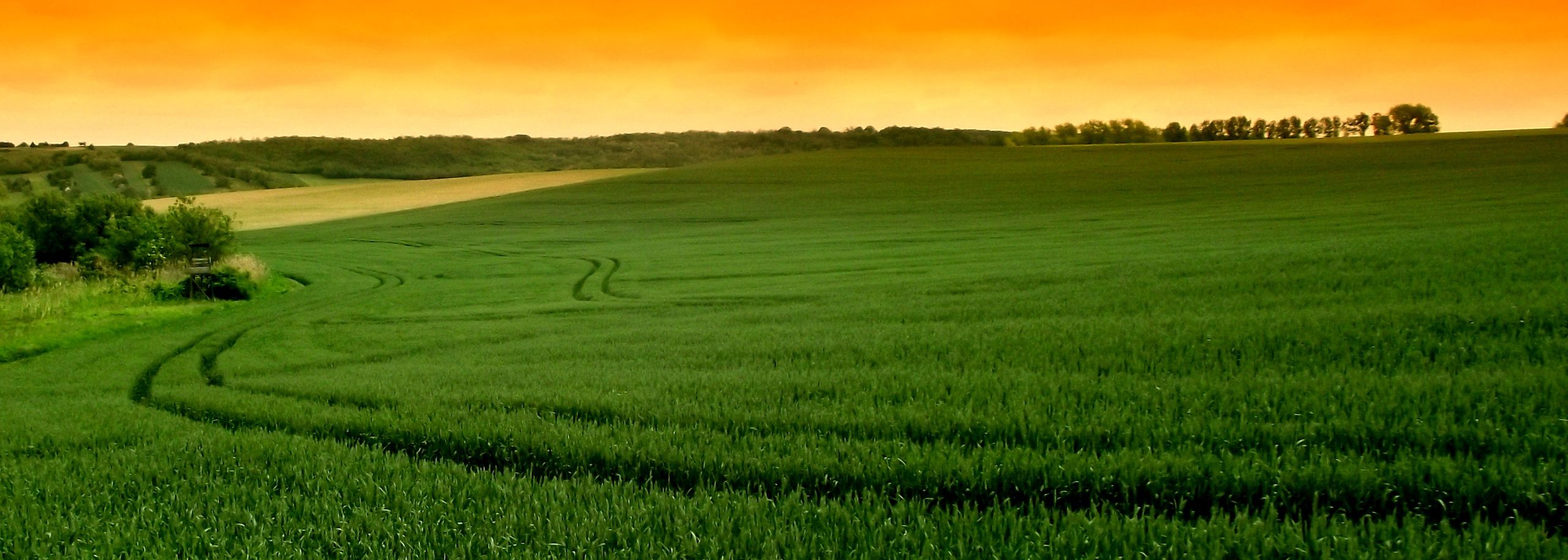 Sunrise over a green farmland landscape with hedgerows and open fields