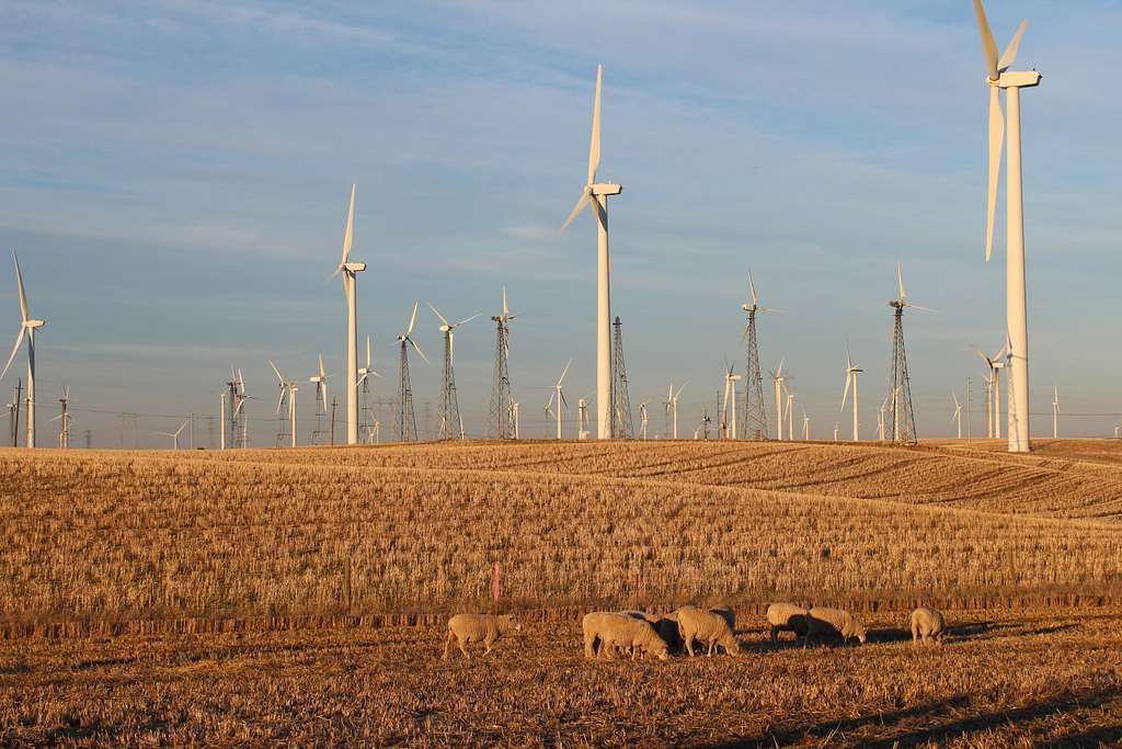 A row of wind turbines standing in a field beneath an orange and purple sunset